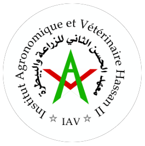 IAV Hassan II